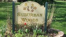 Suburban Woods