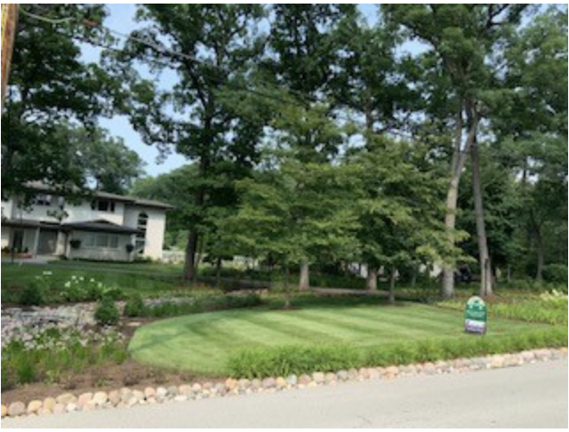 Screen Shot 2021-07-23 at 2.47.16 PM