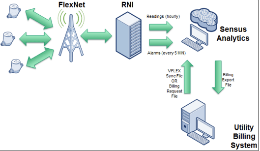 SENSUS DIAGRAM